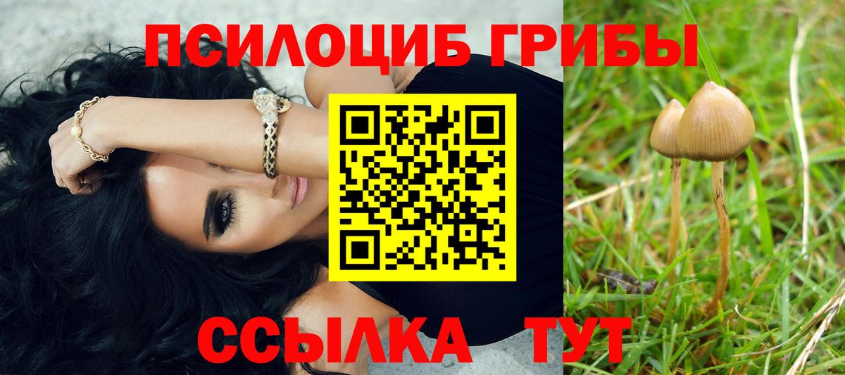 А ПВП Кировск