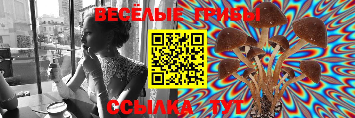 Галлюциногенные грибы Psilocybine cubensis  Псилоцибиновые грибы Cubensis  Кировск  Вход с VPN 